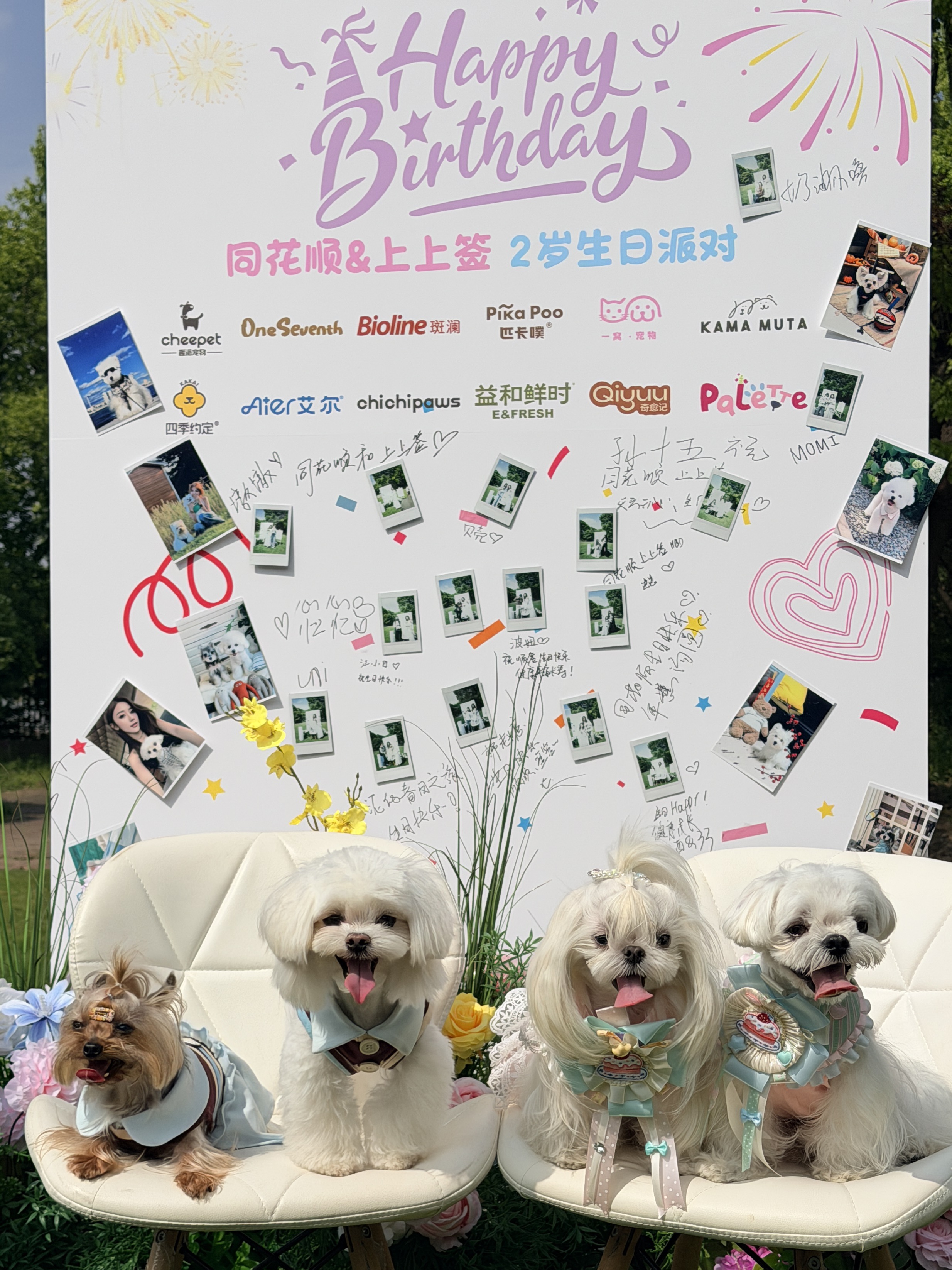 同花顺&上上签，两岁快乐🎊🎂