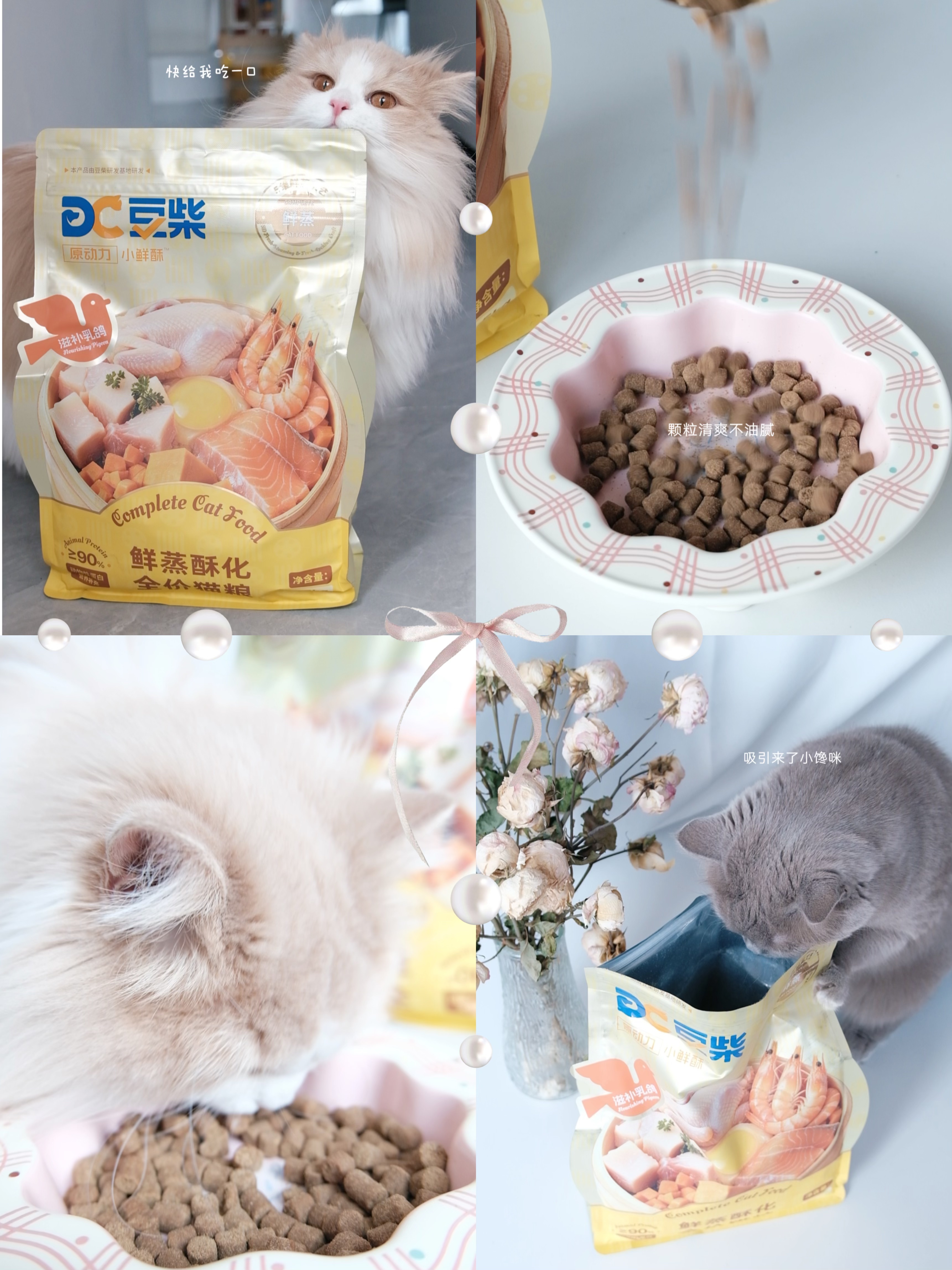 好吃的猫粮咪忍不住₍⑅ᐢ..ᐢ₎