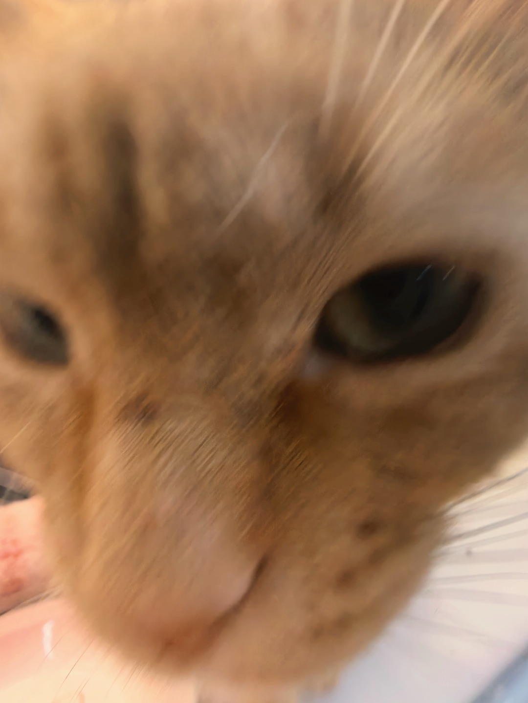 咪的天，一不小心把自拍发网上了