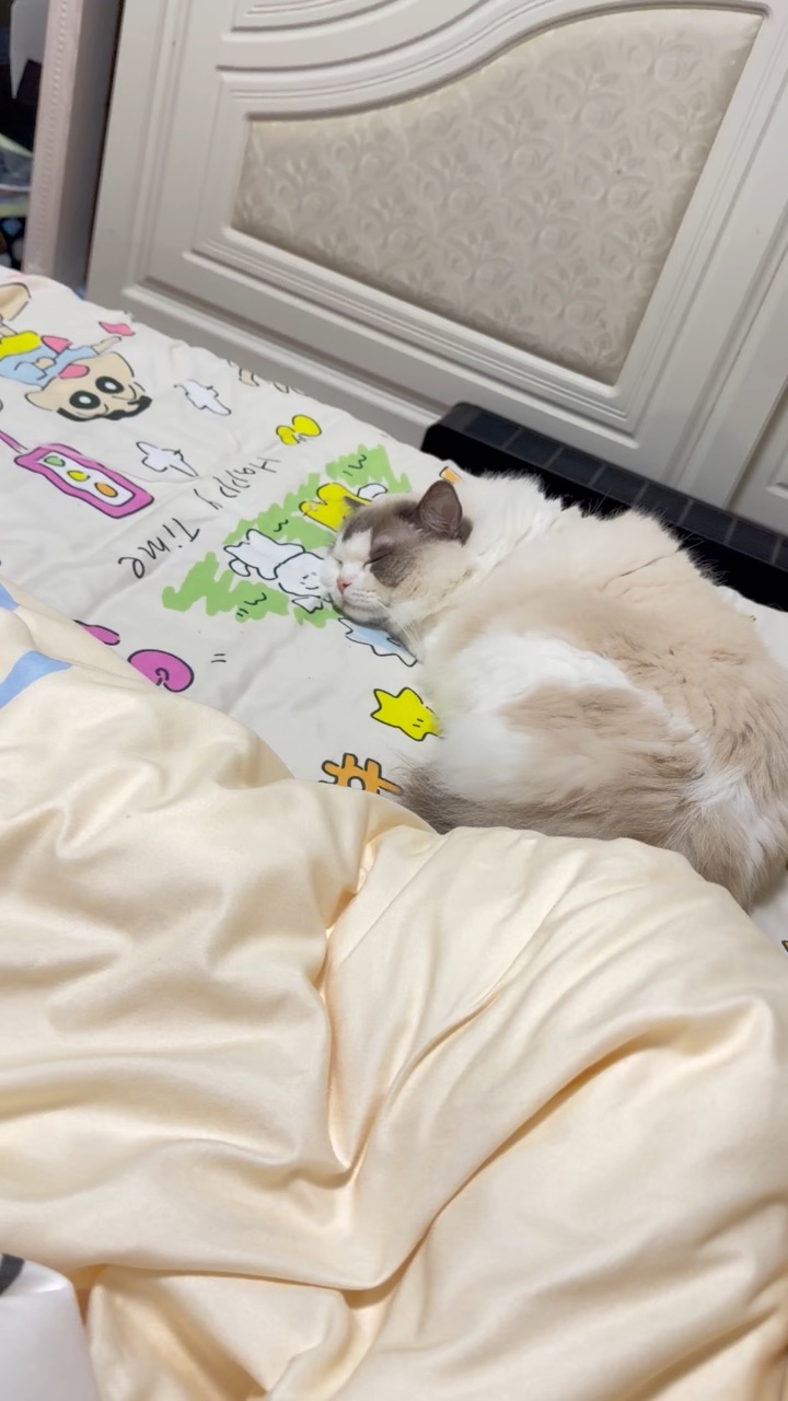 小魔头 睡觉和闹腾时完全是两个模样