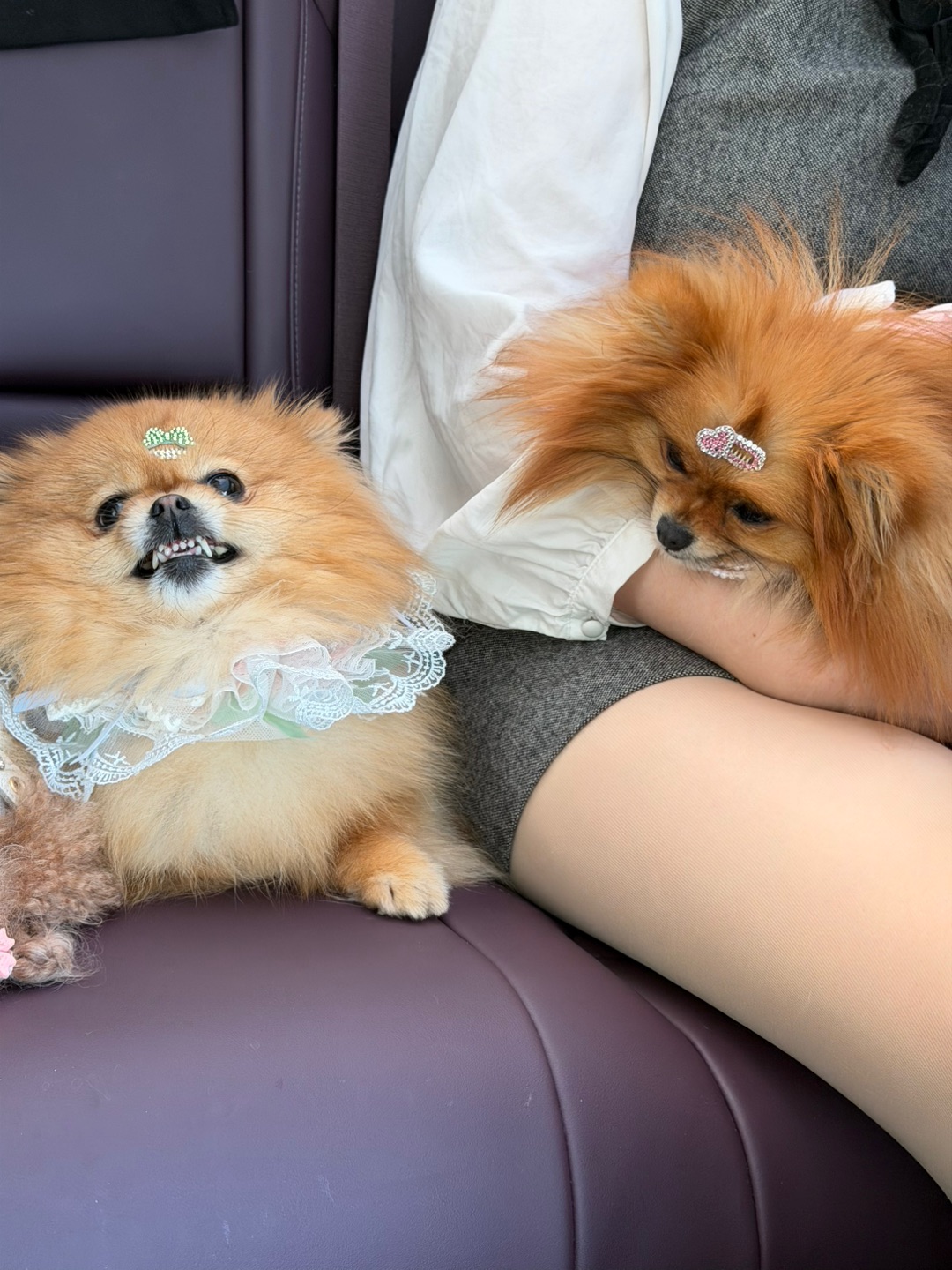 当我和死对头坐在同一辆车上