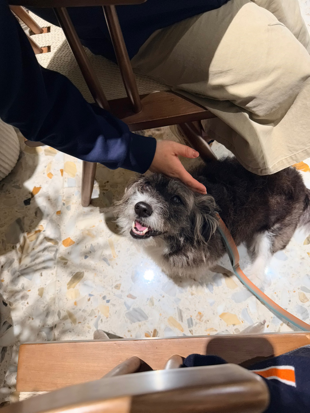 陪麻麻出去吃饭