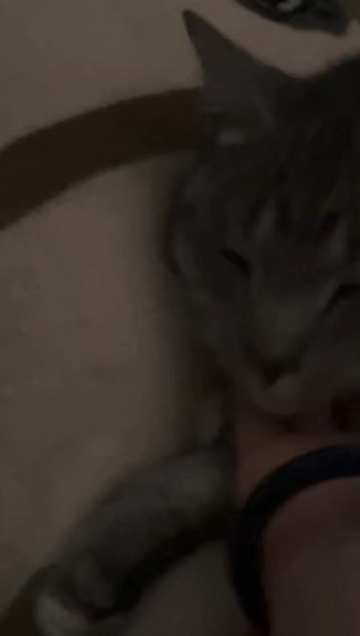 4.23 咕噜咕噜咕噜