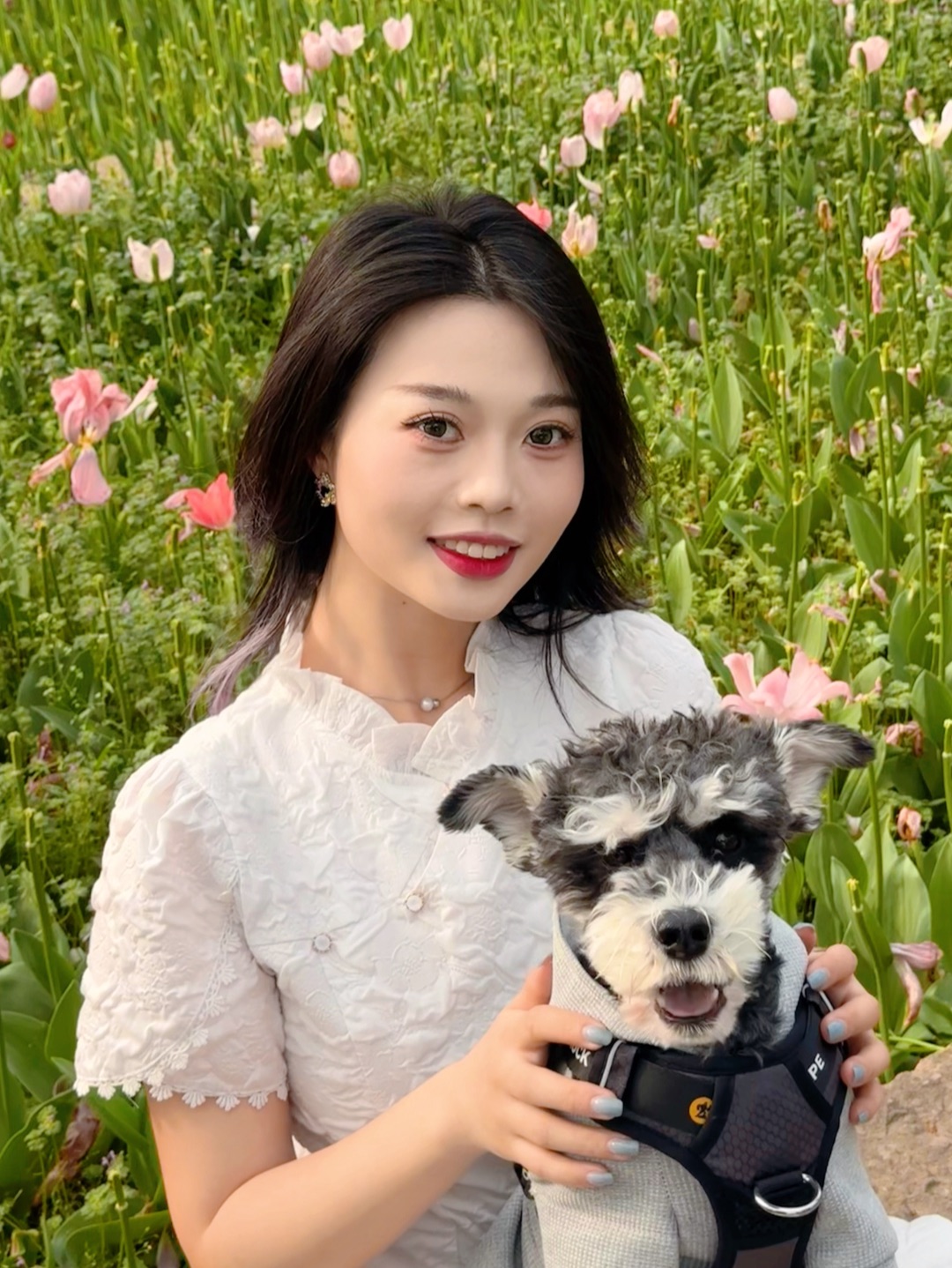郁金香🌷和🐶