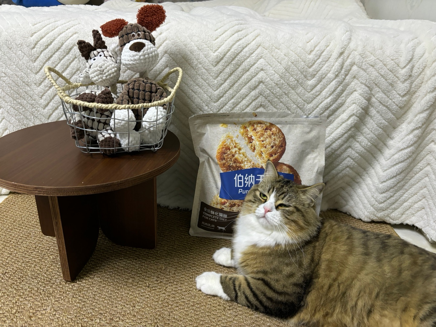 *\(๑• ₃ •๑)Hi~ o(*￣▽￣*)ブ( ´ ▽ ` )ノ(*´▽｀)ノノ