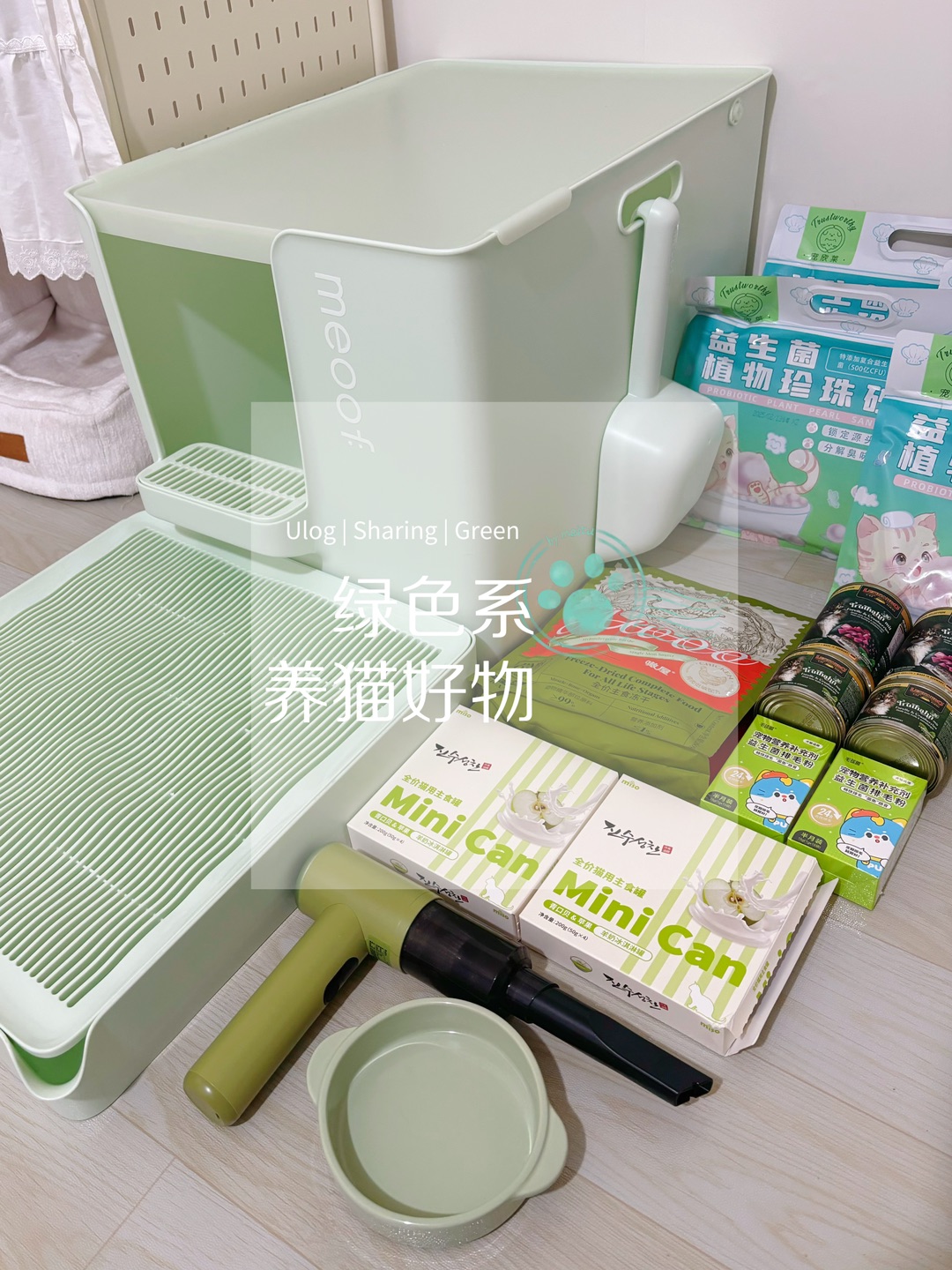 *\(๑• ₃ •๑)Hi~ o(*￣▽￣*)ブ( ´ ▽ ` )ノ(*´▽｀)ノノ