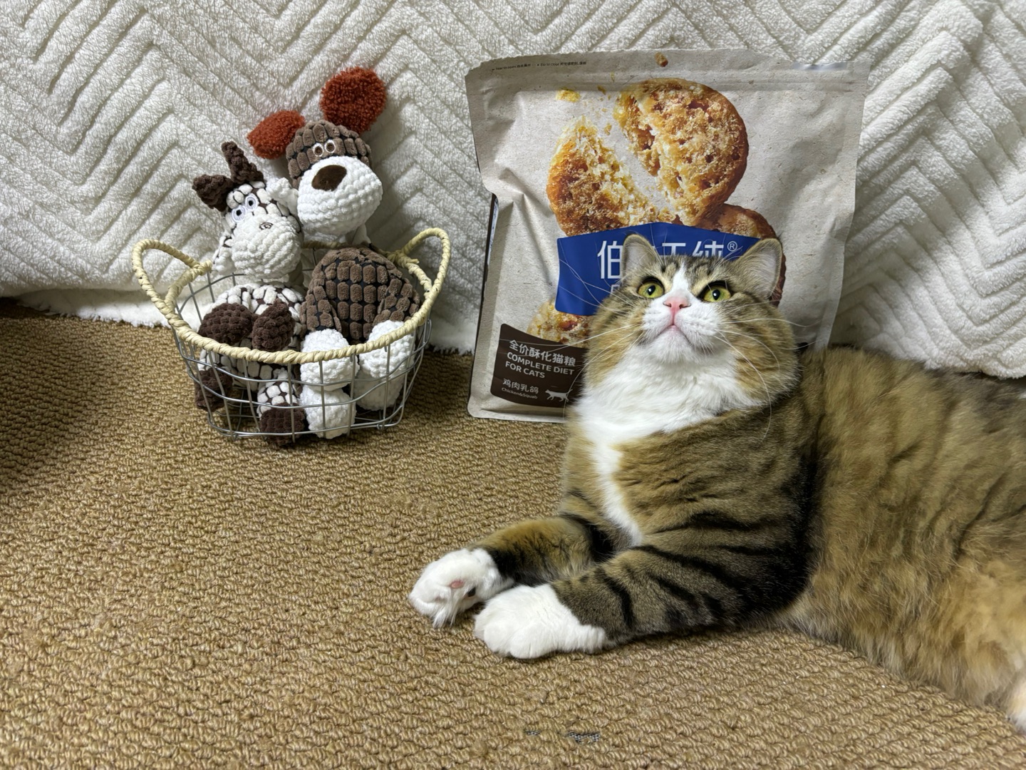 ヽ(^0^)ノ*\(๑• ₃ •๑)(^_^)ノHi~ o(*￣▽￣*)ブ