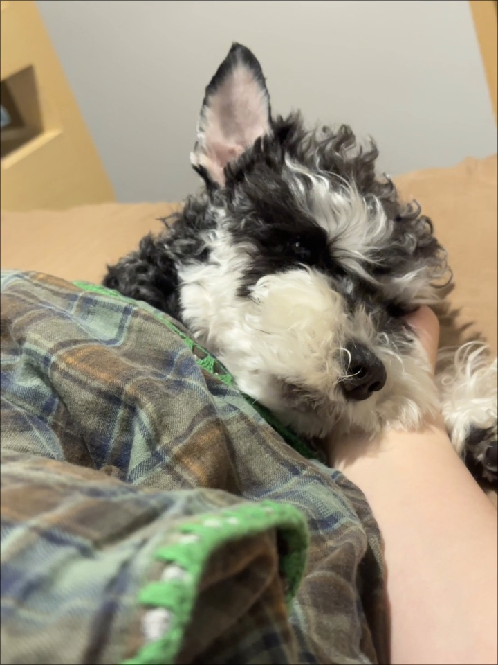 晚安，我的宝贝