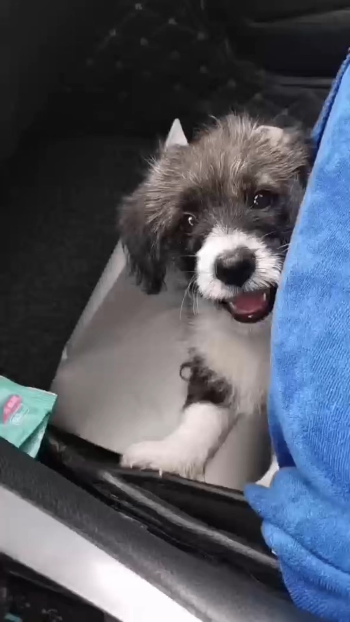 幸好我能碰到你