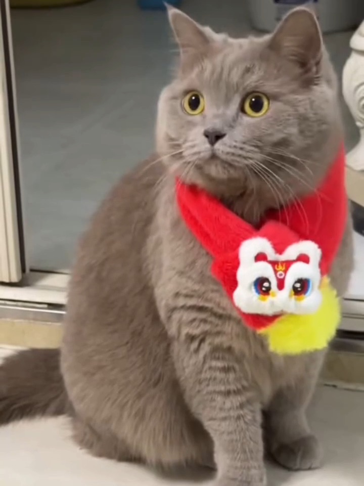 就这样幸福下去吧我的labubu！