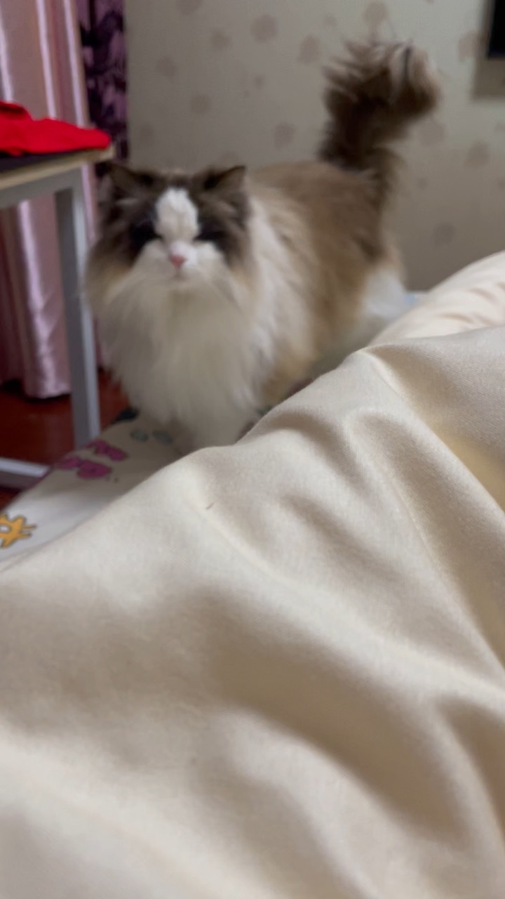 哈哈哈哈哈哈哈哈哈哈哈好可爱的宝宝哈哈哈好可爱啊哈哈哈哈哈哈哈哈哈