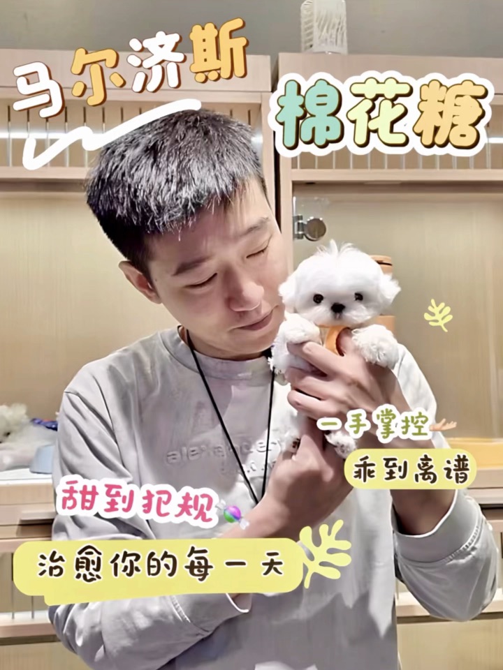 ⚠️这团棉花糖甜度已超标☁️，一口就会上瘾～