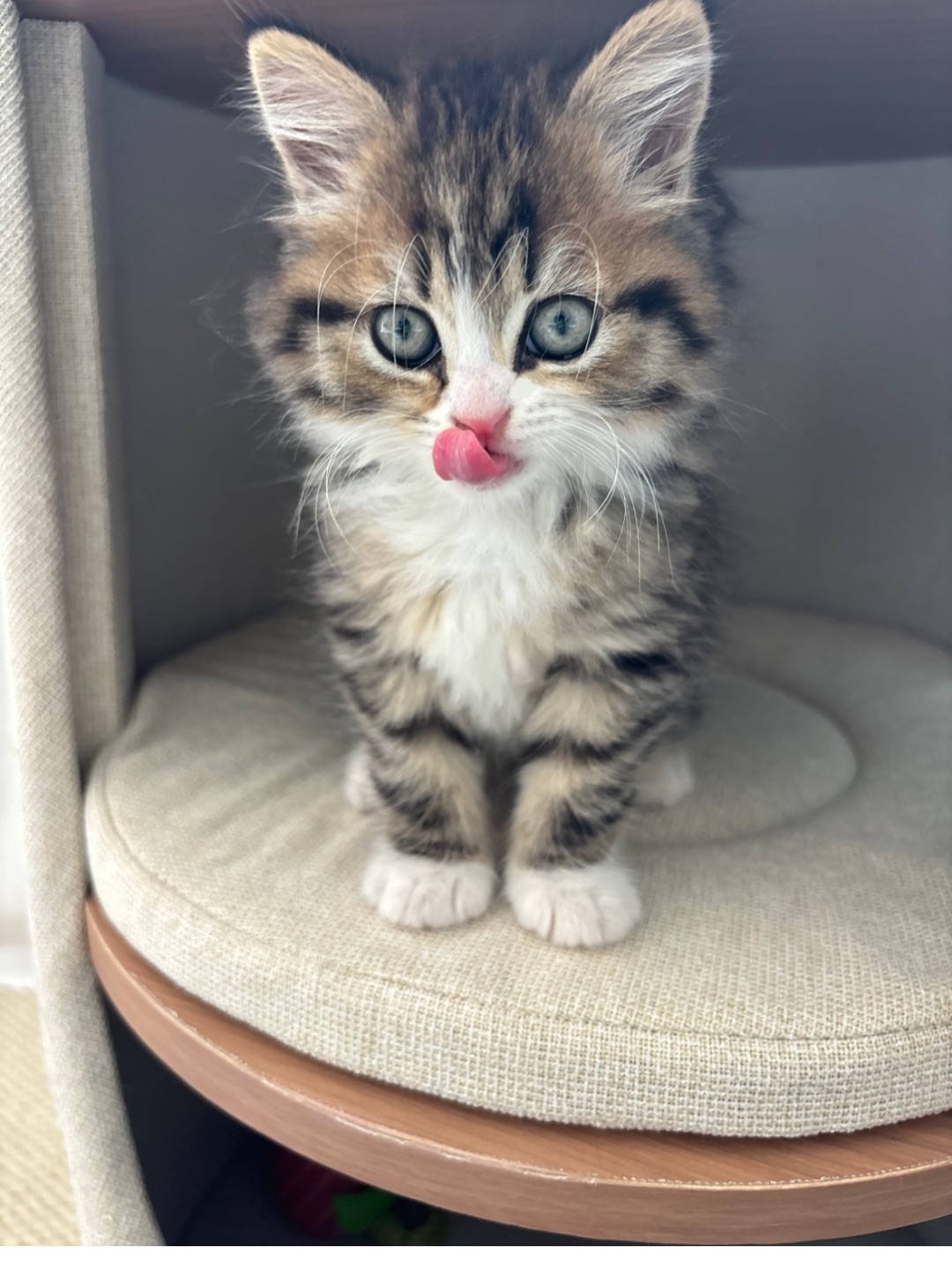 ヽ(^0^)ノ*\(๑• ₃ •๑)(^_^)ノHi~ o(*￣▽￣*)ブ