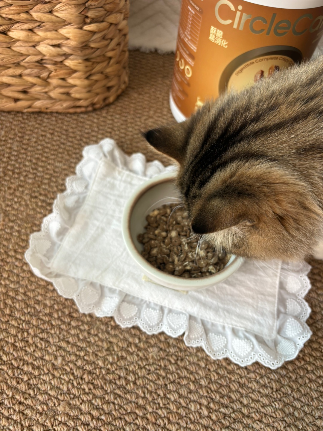 哈哈✌︎˶╹ꇴ╹˶✌︎*\(๑• ₃ •๑)(^o^)／(^o^)／(^-^)/