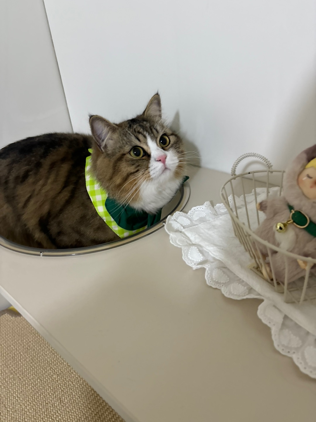 哈哈✌︎˶╹ꇴ╹˶✌︎*\(๑• ₃ •๑)(^o^)／(^o^)／(^-^)/