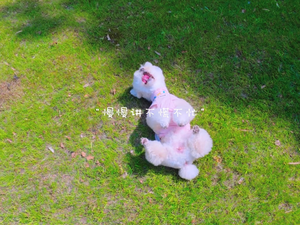 小小时光，岁月长长。慢慢讲，不慌不忙。