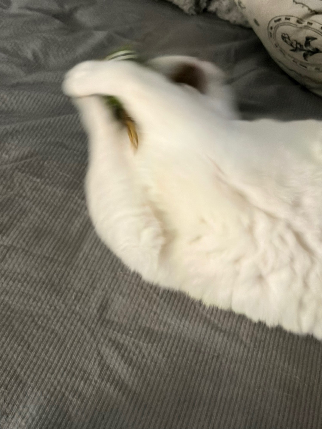 看不懂的直接问他