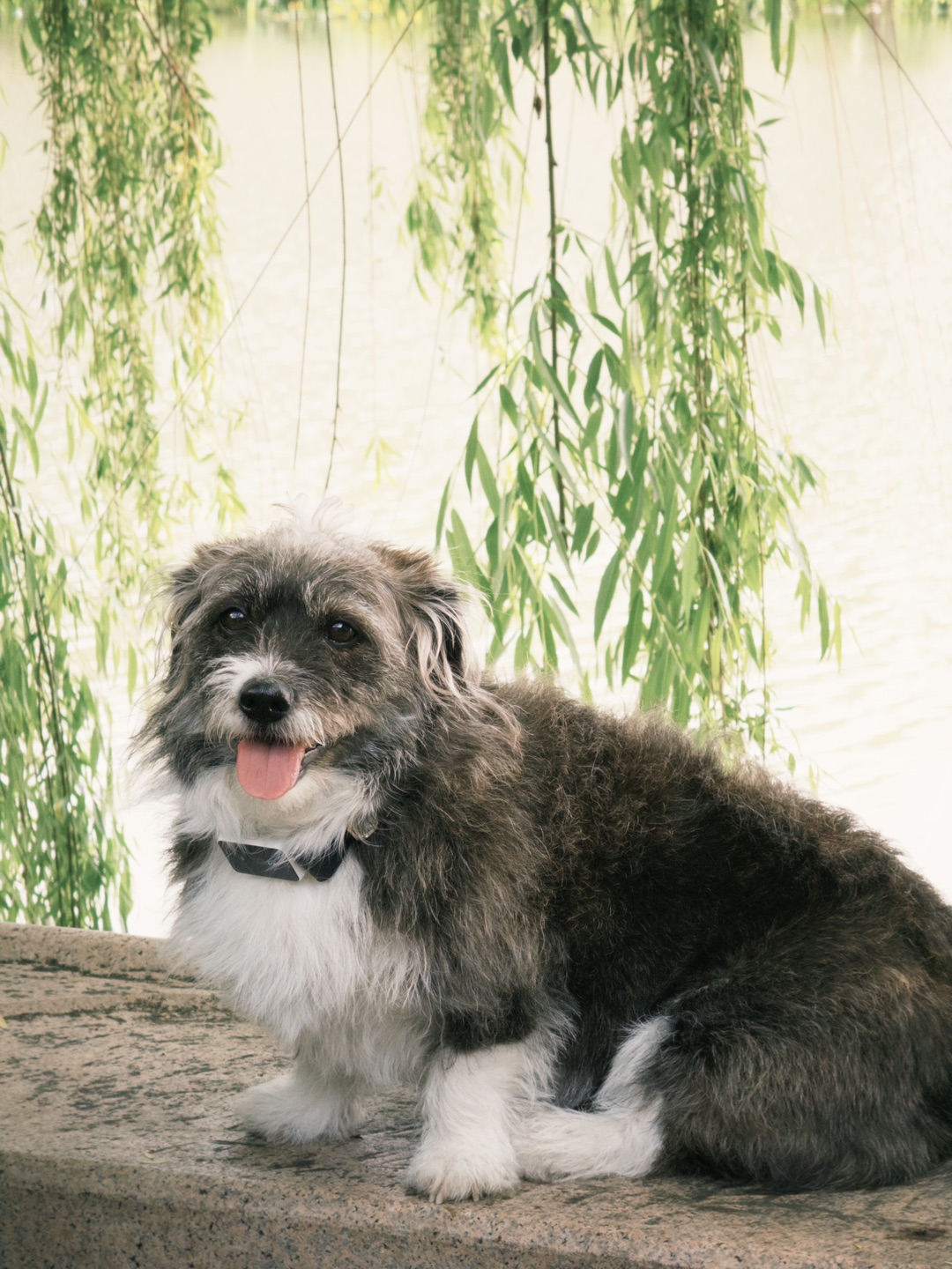 塘栖古镇半日游