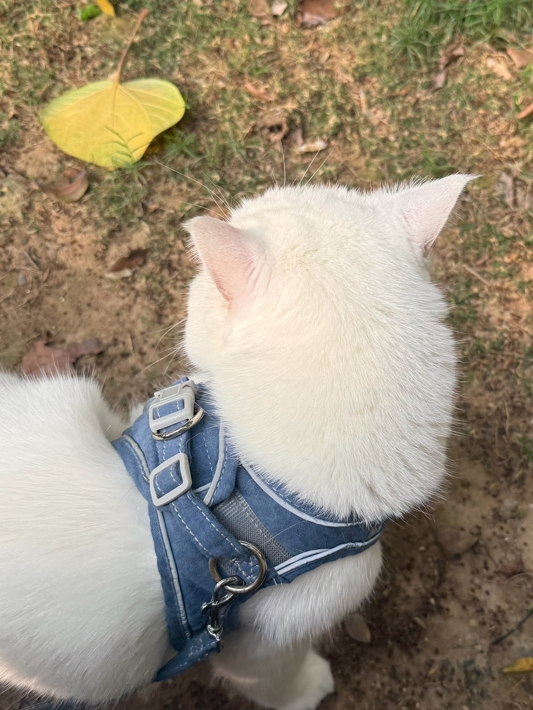 出门晒晒太阳☀️