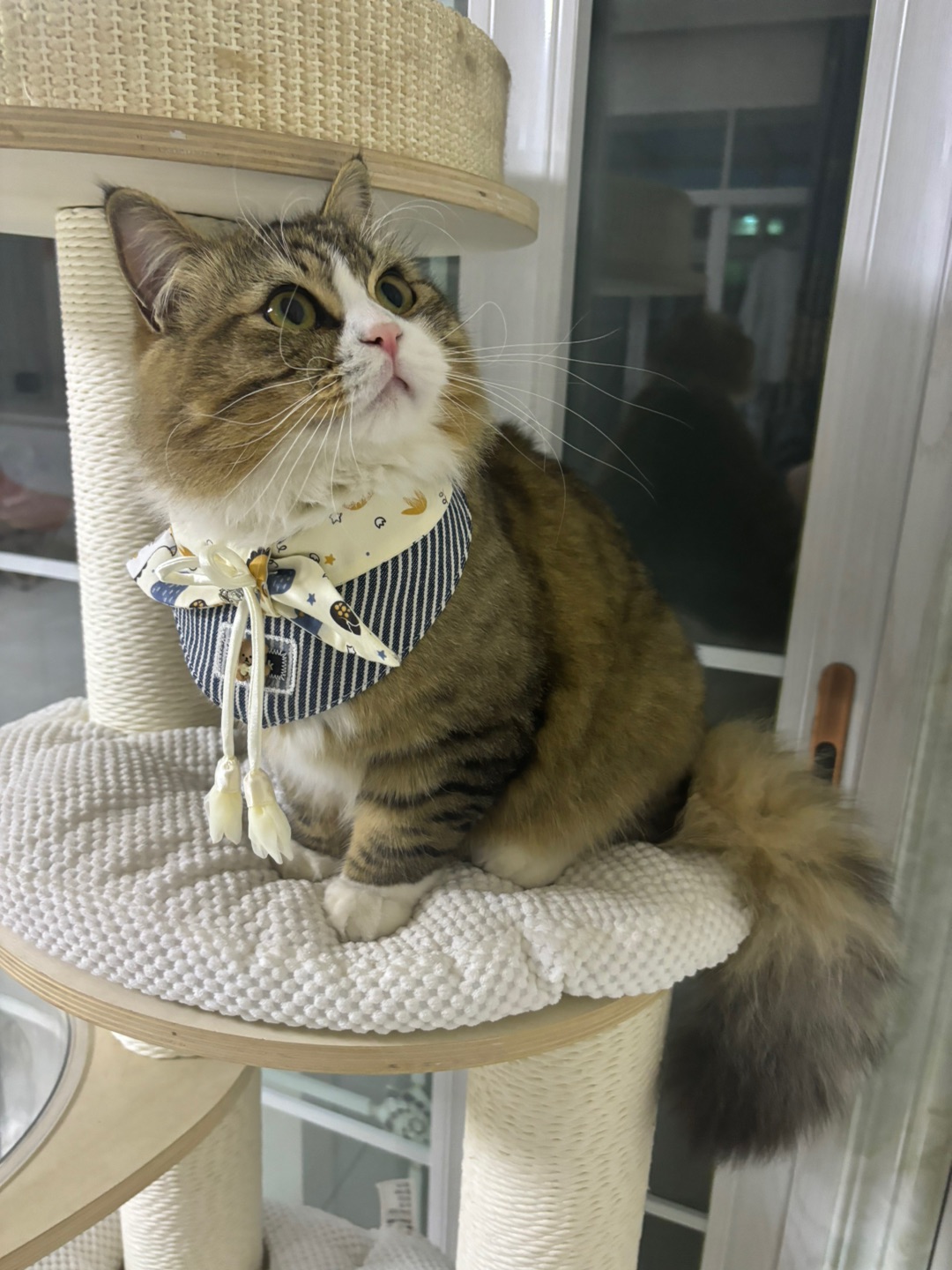 ( ´ ▽ ` )ノ(*´▽｀)ノノ*\(๑• ₃ •๑)(^o^)／