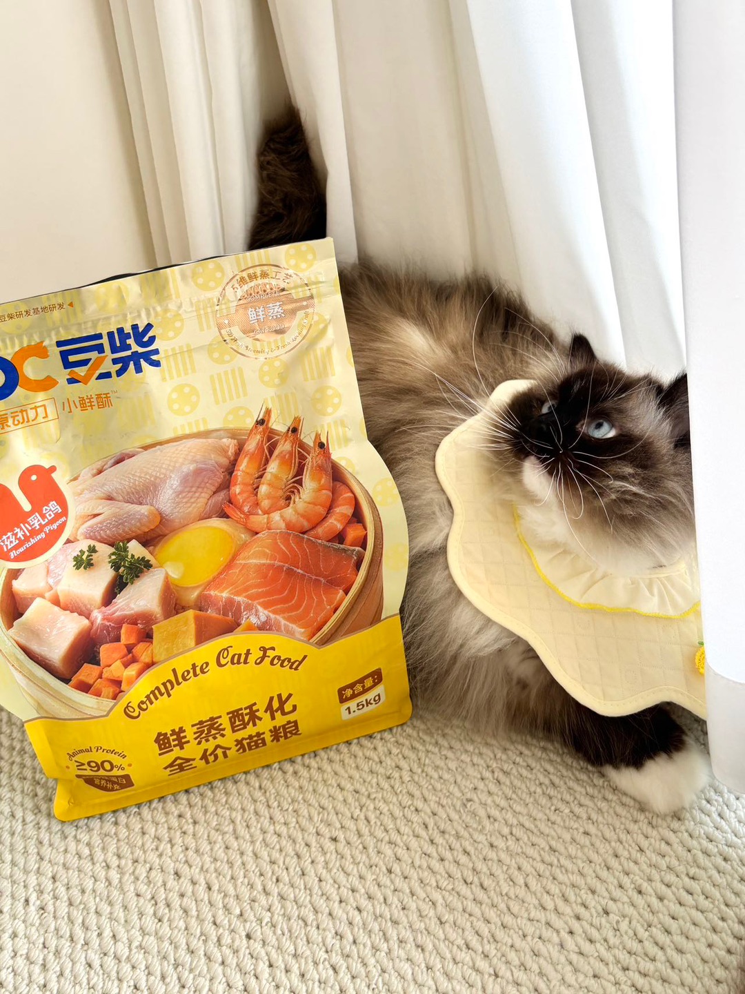 我家猫看到这袋粮的眼神…我直接把购物车塞满了