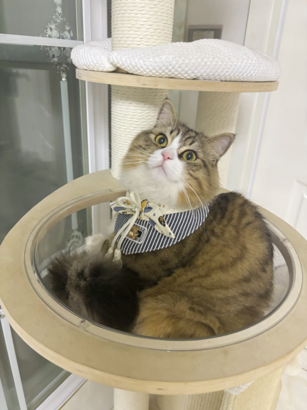 ( ´ ▽ ` )ノ(*´▽｀)ノノ*\(๑• ₃ •๑)(^o^)／