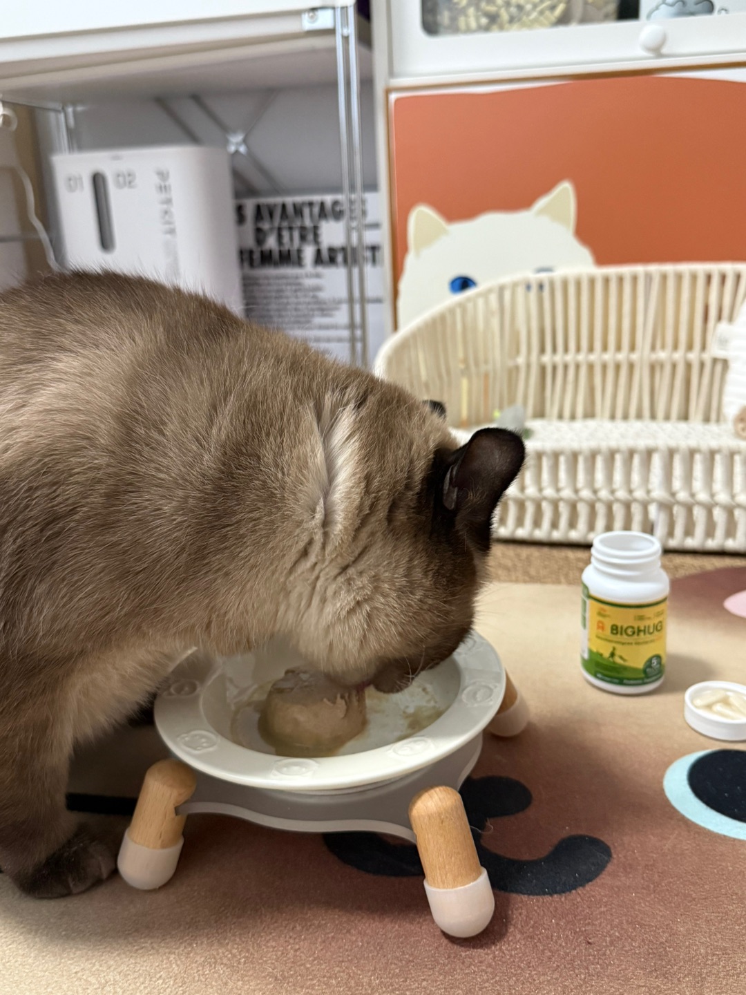 ⦮_  ̫ _⦯ 世界破破烂烂 小猫尝尝咸淡