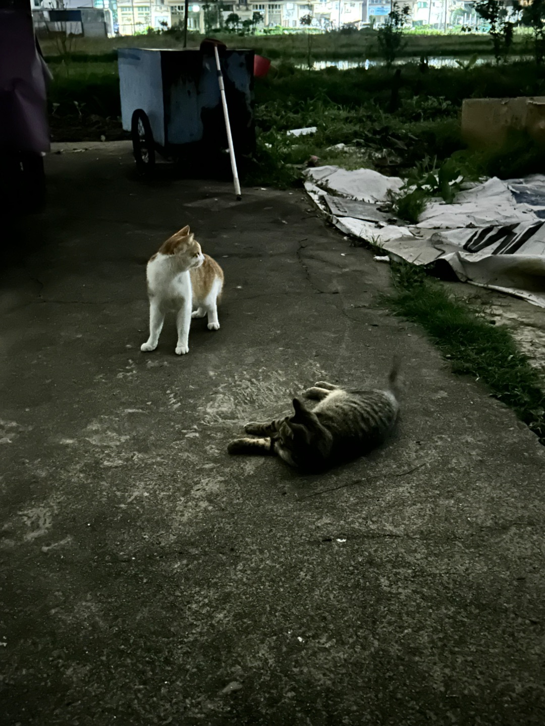 4.25 你们俩在干嘛