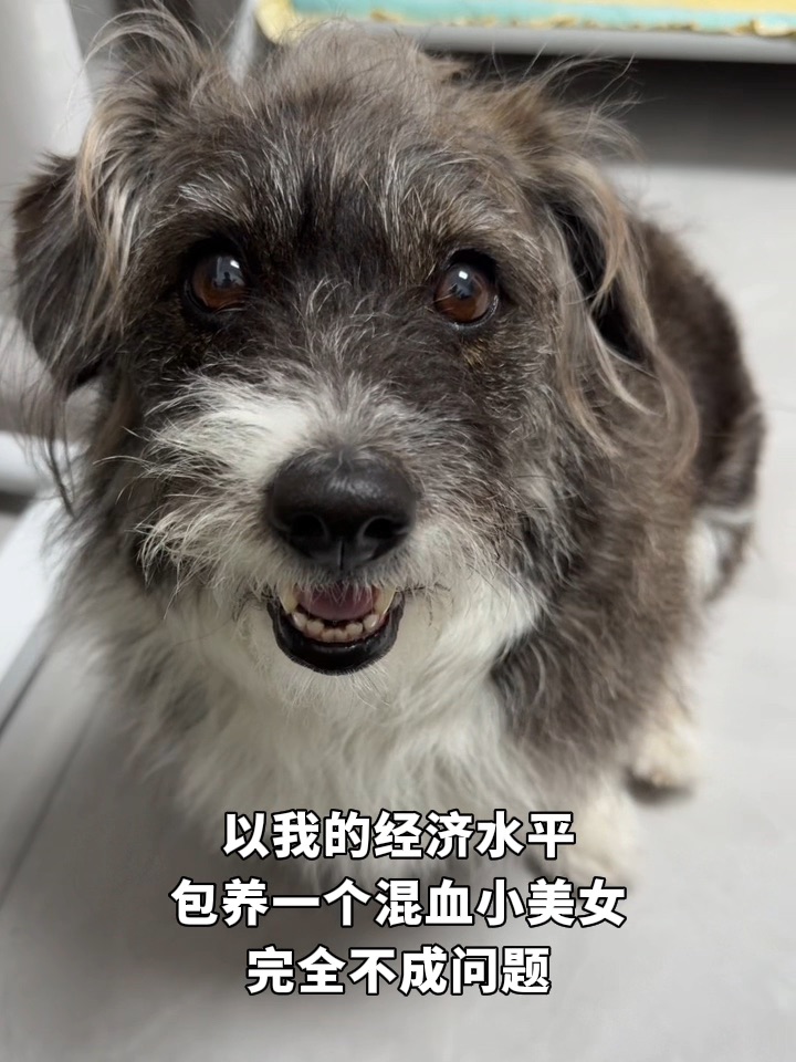 以我的经济水平