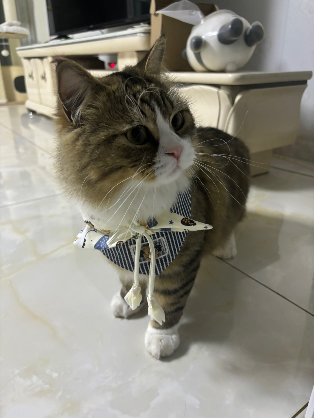 ( ´ ▽ ` )ノ(*´▽｀)ノノ*\(๑• ₃ •๑)(^o^)／