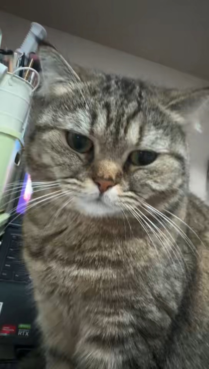 有趣的灵魂和有趣的故事来袭打响第一战第一名战地第二