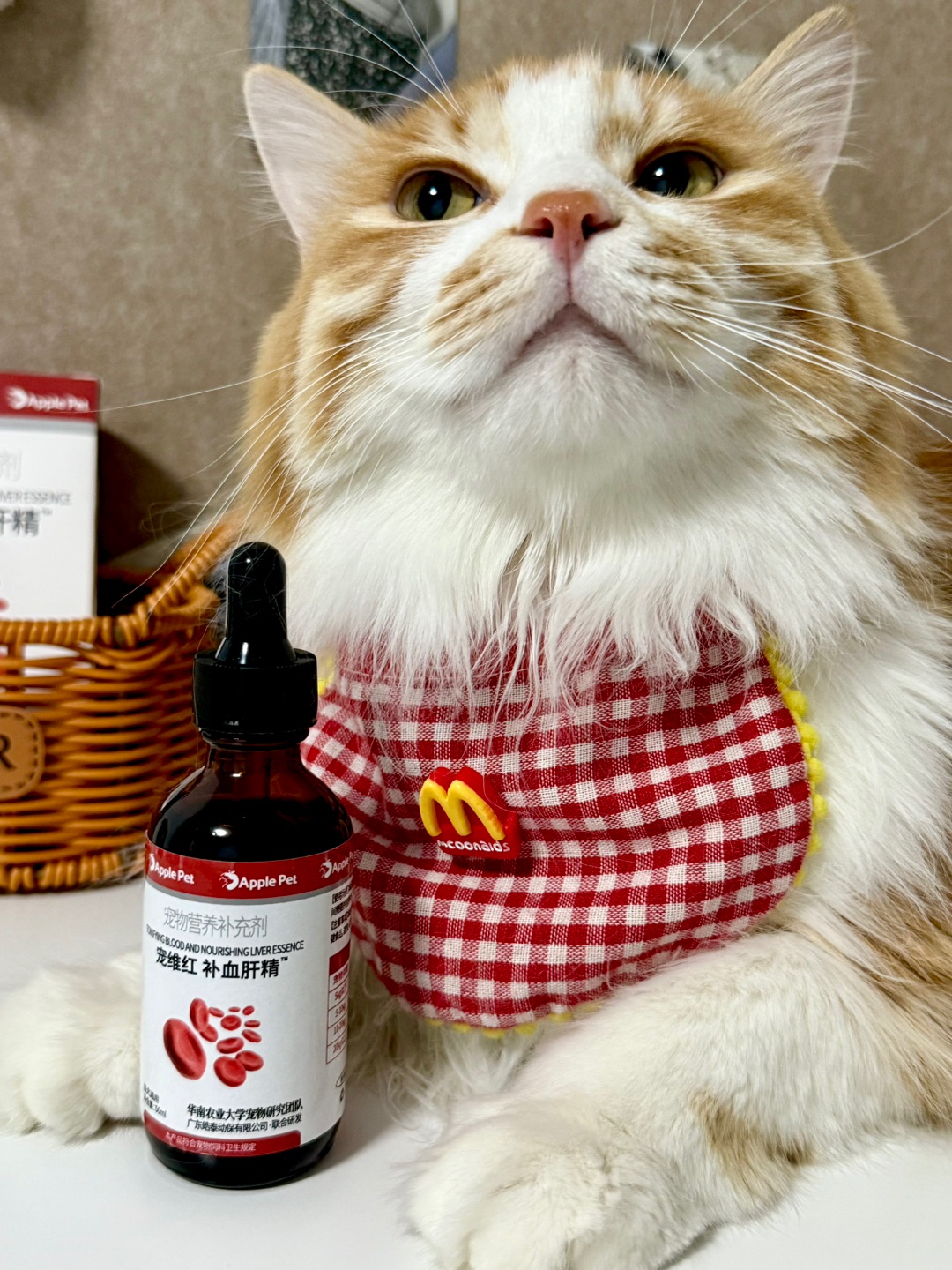 养猫人别慌！贫血不是绝症，这款就够用