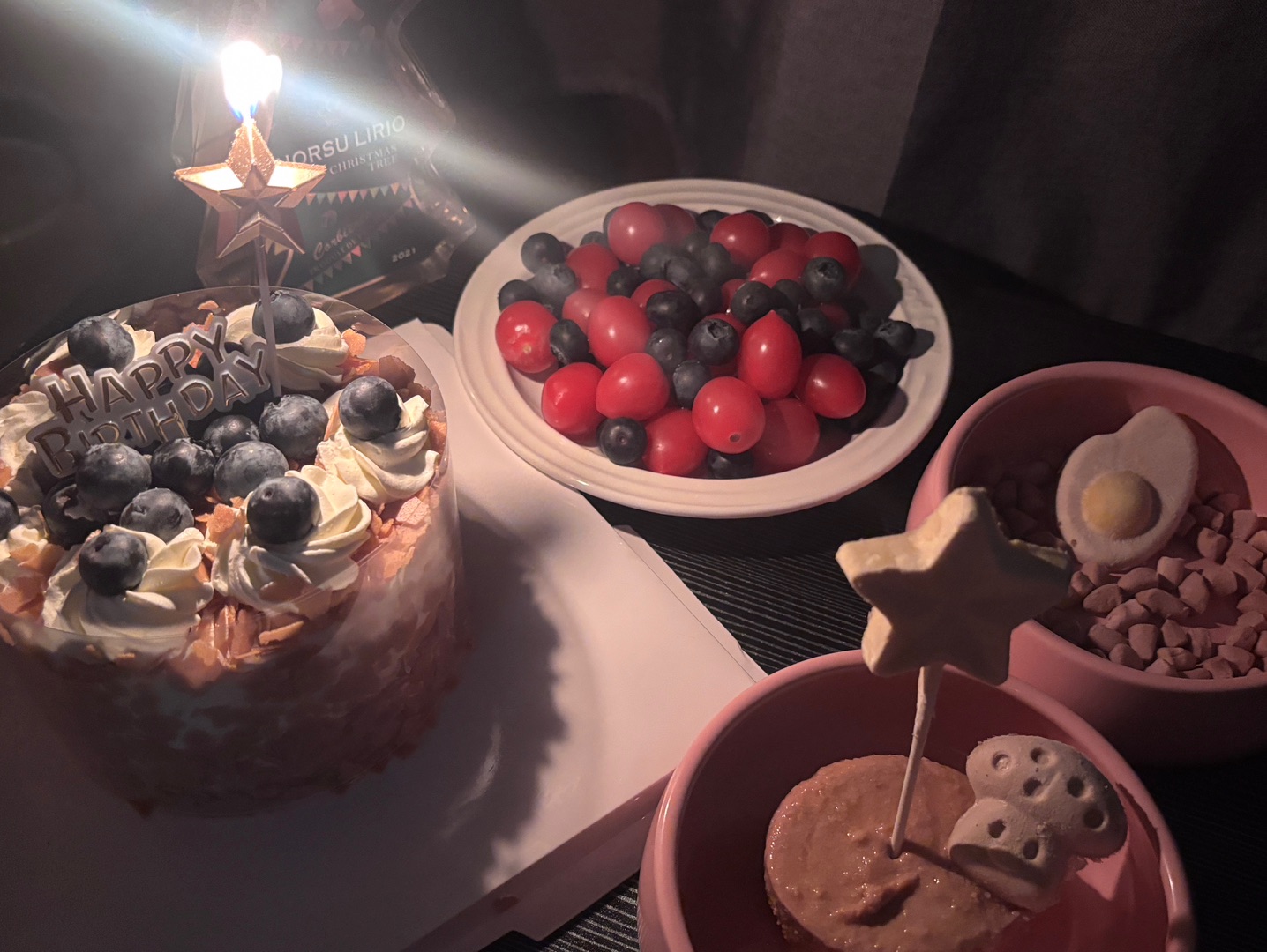 庆祝🪅我们的日子