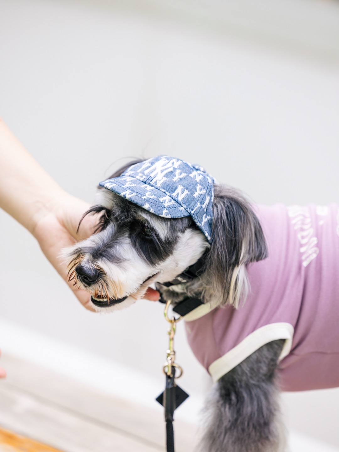 一顶帽子两种风格