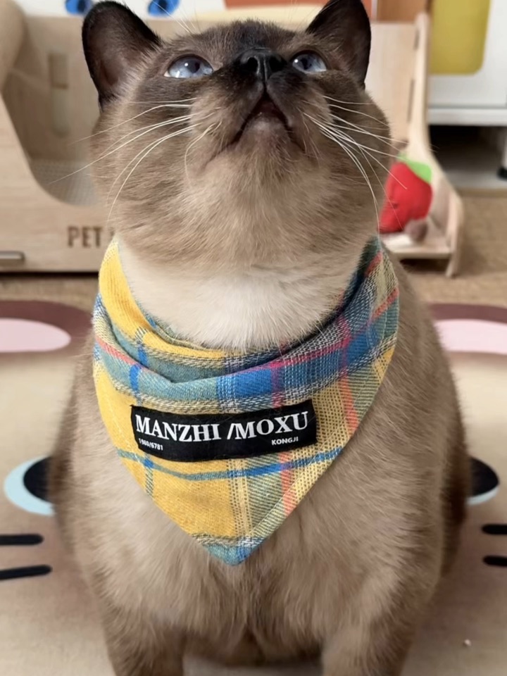 全靠这口“莓”烦恼！！！！！