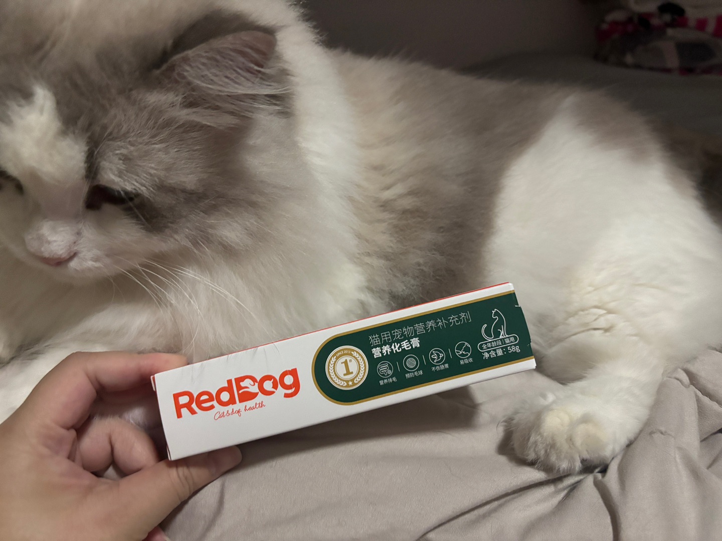 测评红狗化毛膏