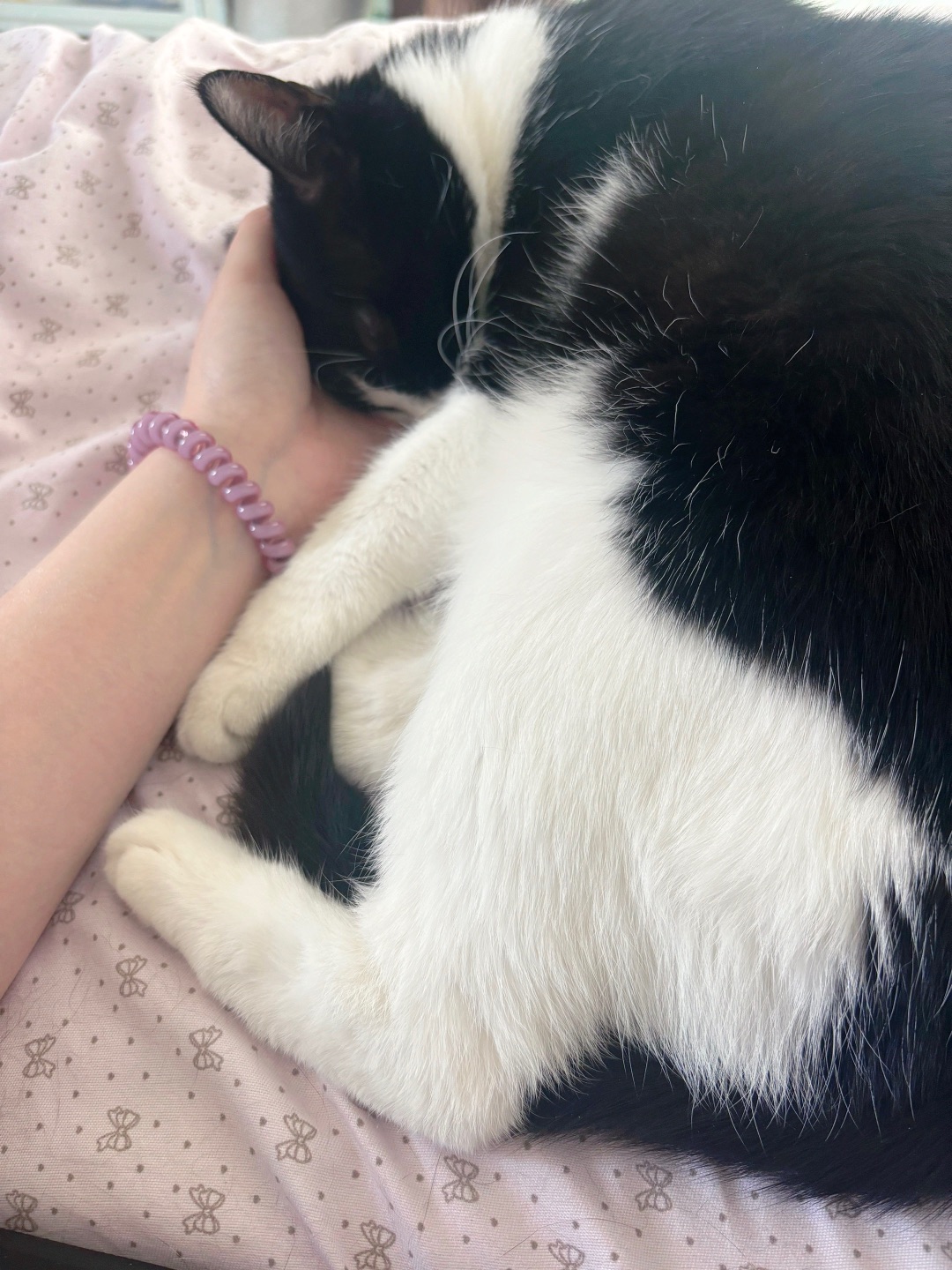 ~(＾◇^)/~(＾◇^)/(^o^)／Hi~ o(*￣▽￣*)ブ