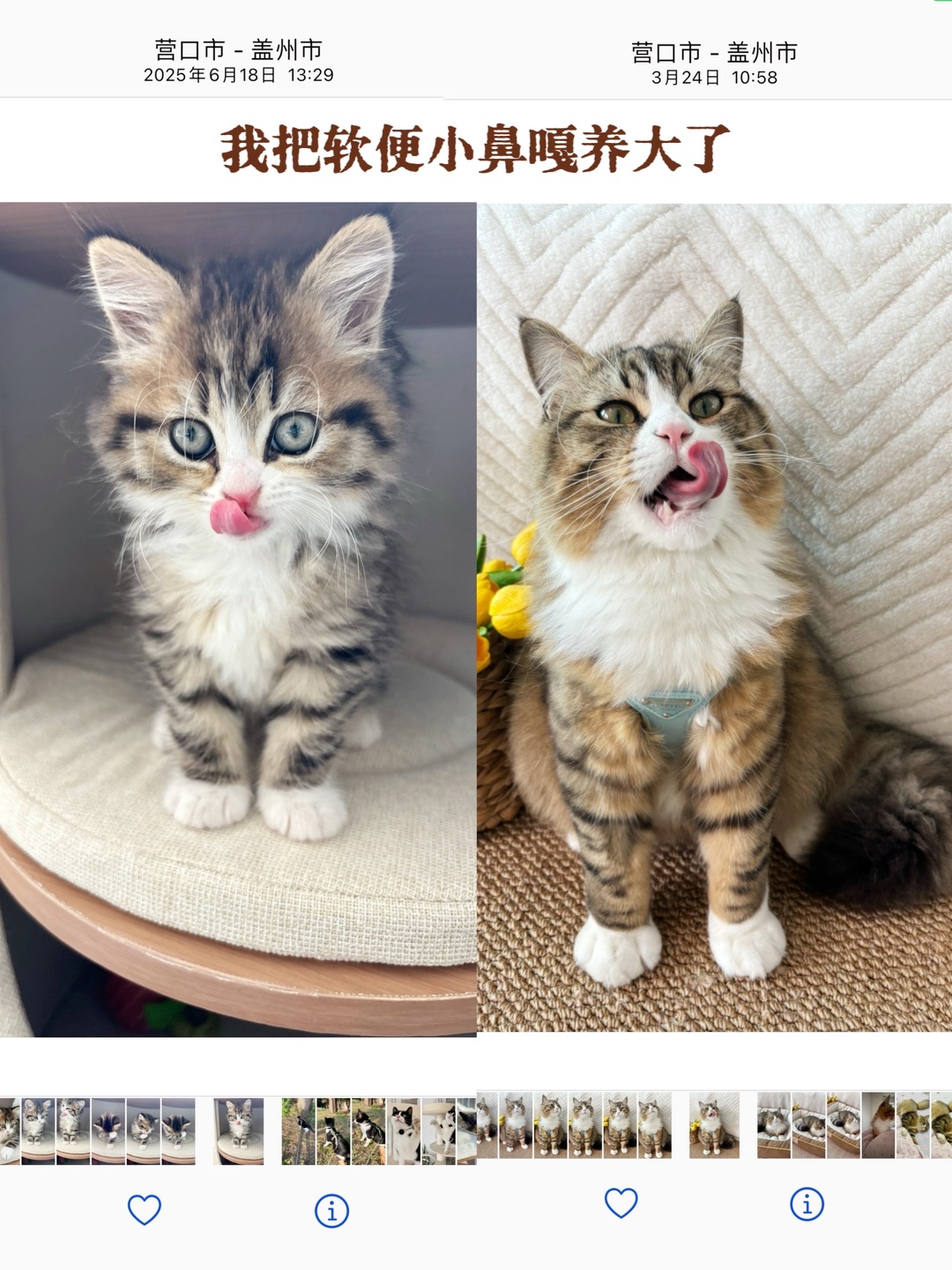 ~(＾◇^)/~(＾◇^)/(^o^)／Hi~ o(*￣▽￣*)ブ