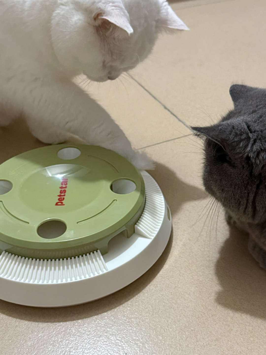 测评 | Petstar抓地鼠机逗猫玩具