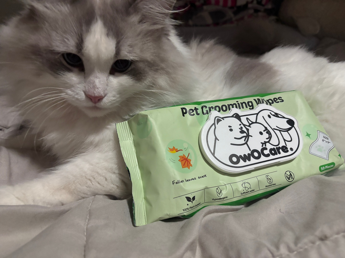 测评OwOCare宠物湿巾