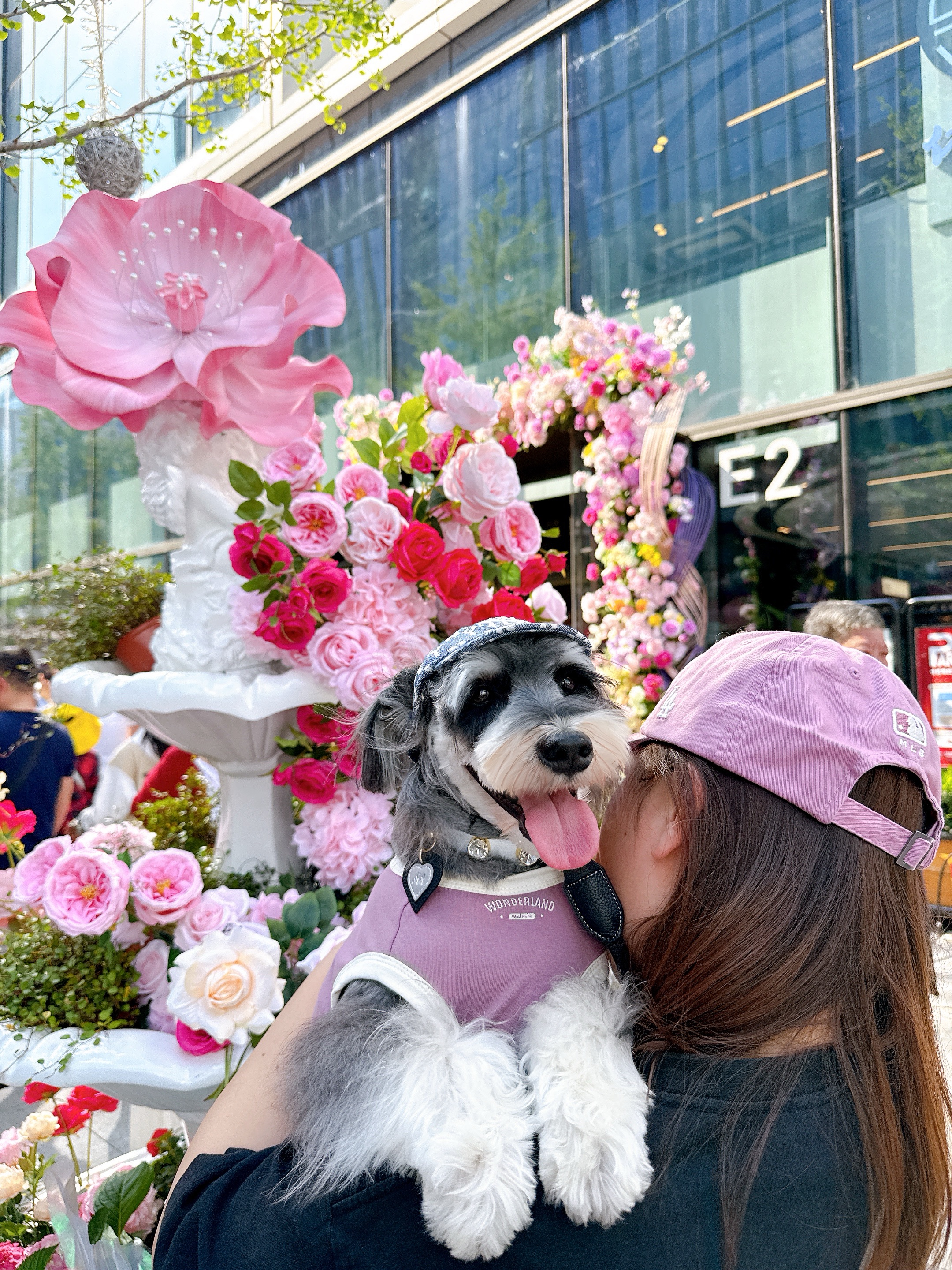 小狗前滩花卉节打卡📸