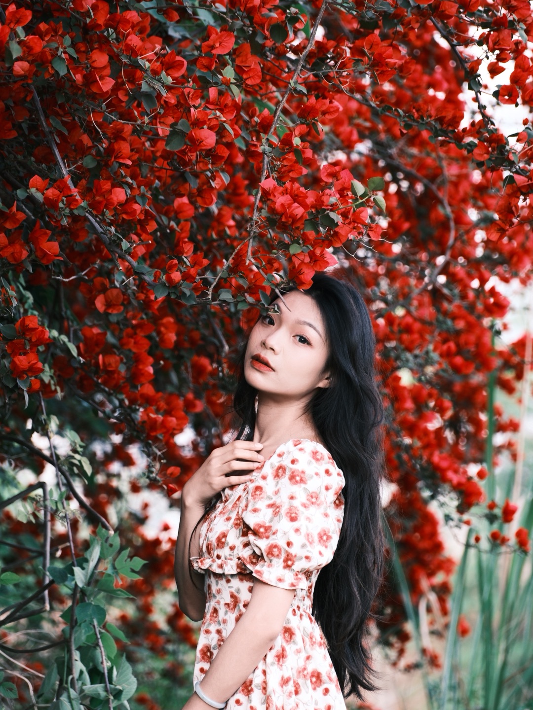 春天到了！ 当然是要！ 一头，钻进花丛里～ - 满墙的三角梅真得太好看啦啦啦啦！