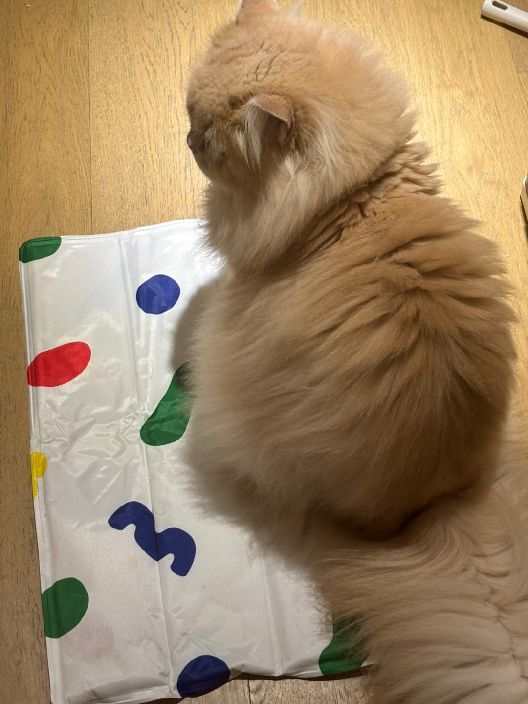 zeze的方形冰垫测评