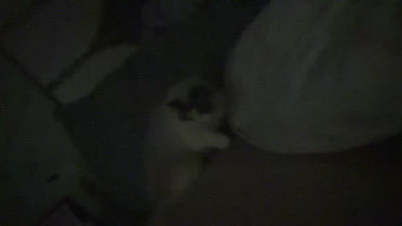 可爱星冰乐宝宝 每天在家里和我的脚斗争嘿嘿太可爱啦