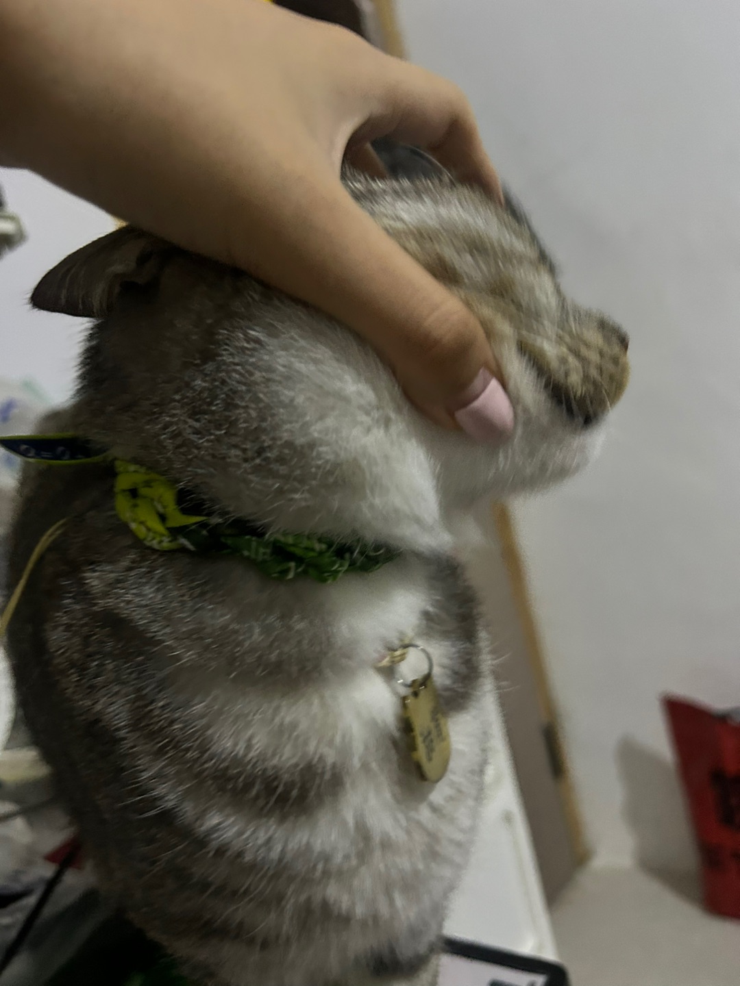 4.27 做个新项链给宝宝