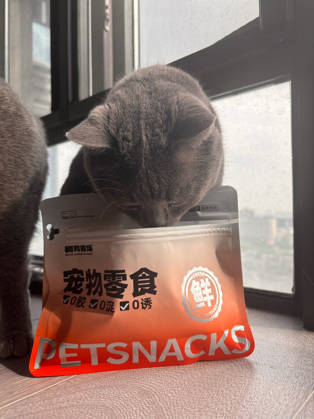 好吃的宠物零食