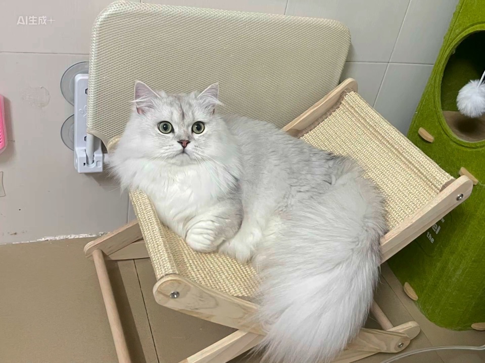 享受的咧，这个躺椅超爱的