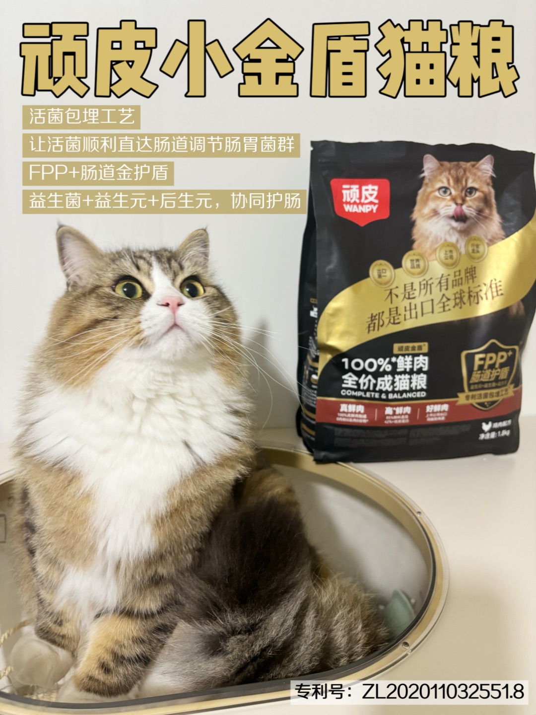 ヽ(^0^)ノ(^_^)ノ( ´ ▽ ` )ノ~(＾◇^)/(^_^)ノ