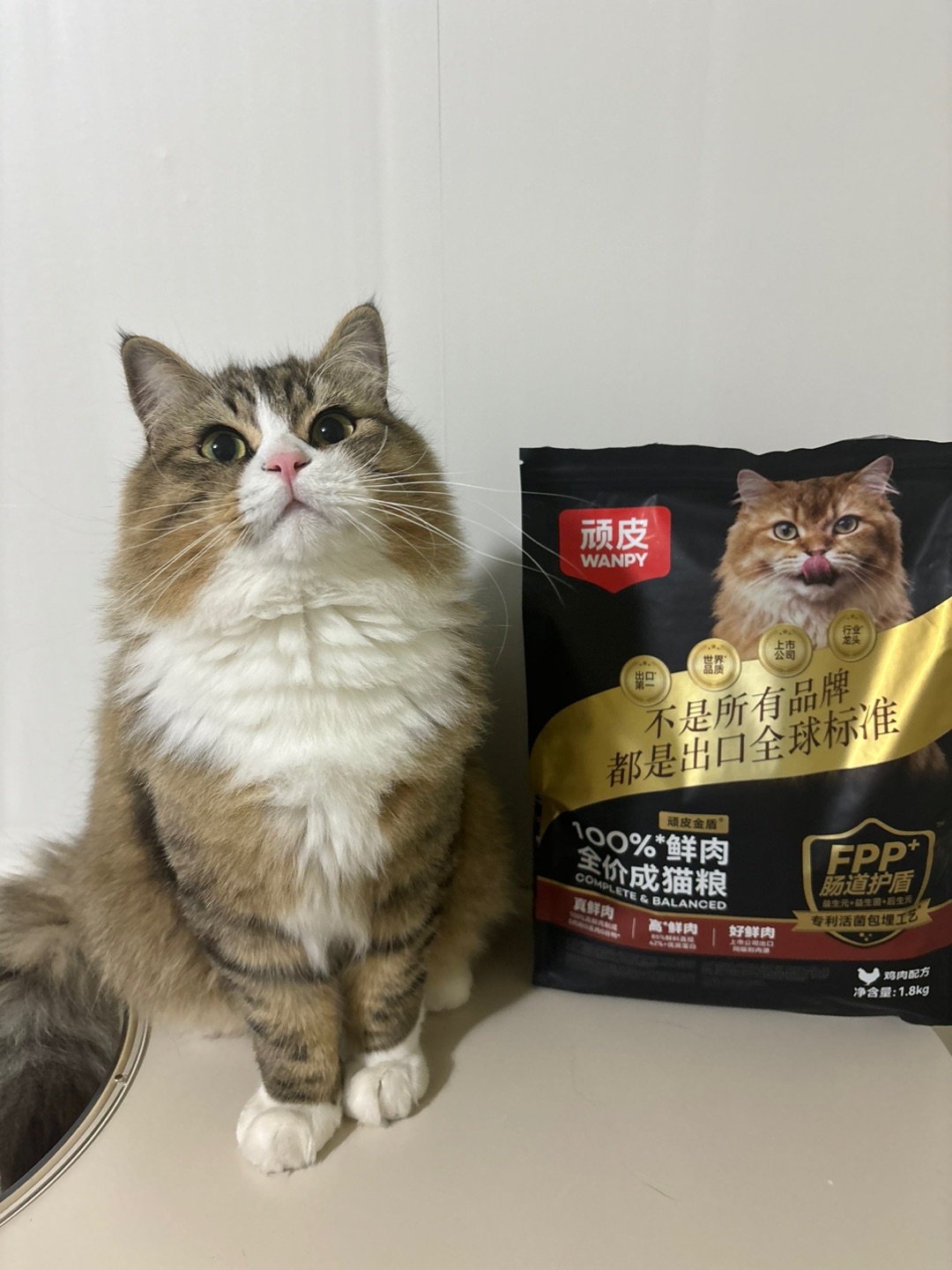 ヽ(^0^)ノ(^_^)ノ( ´ ▽ ` )ノ~(＾◇^)/(^_^)ノ