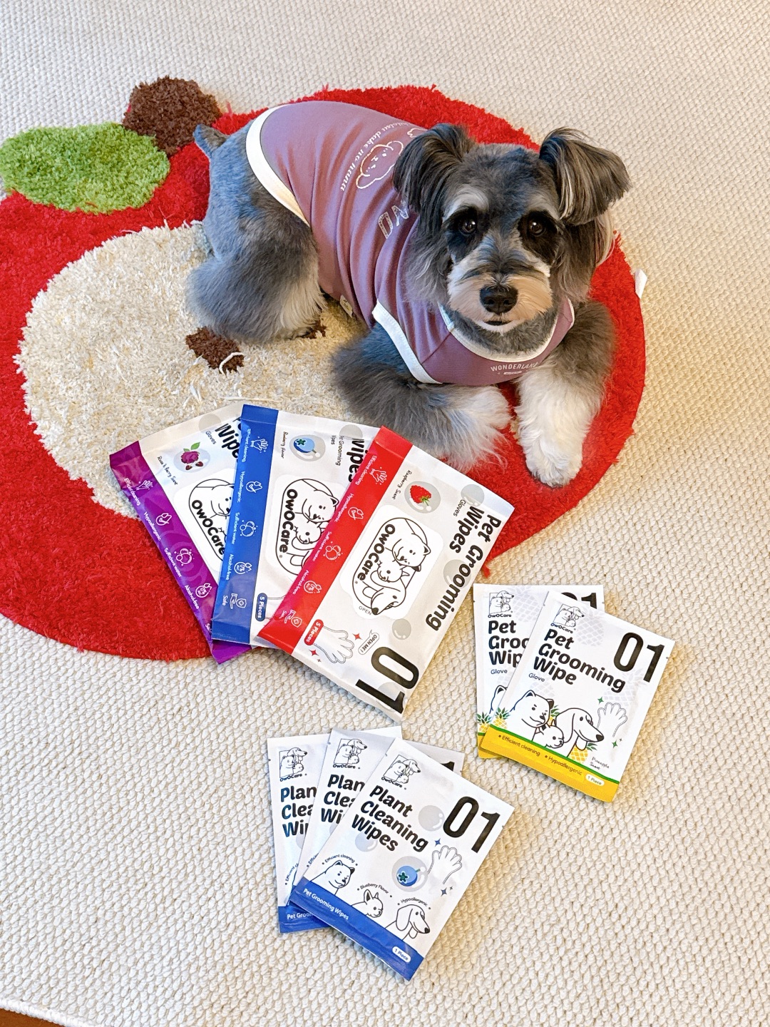 雪纳瑞的小狗jio🐾是真味儿啊